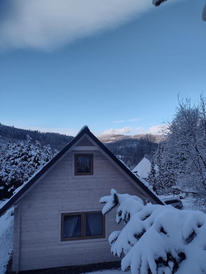 Domek Na Lesnym Wzgorzu Pieszyce Bagian luar foto
